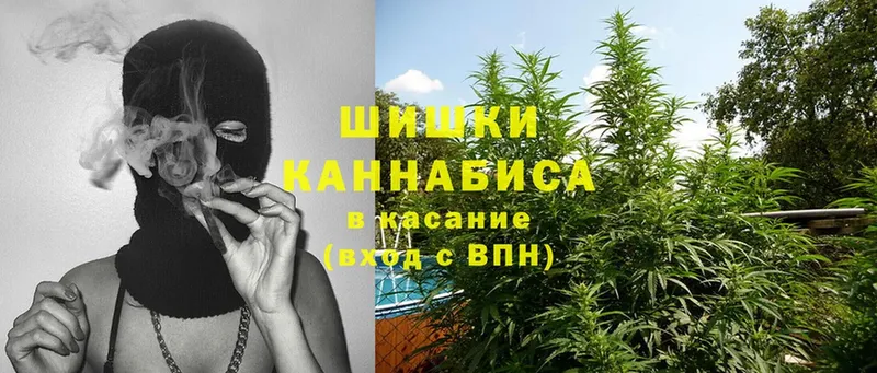 Бошки марихуана Ganja  гидра маркетплейс  Удомля  наркота 